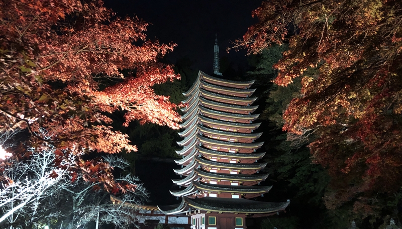 【談山神社】夜の紅葉ライトアップへ行こう！周辺施設や状況解説！